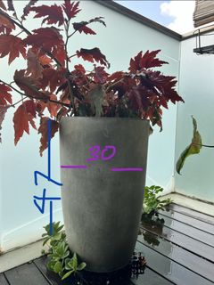 (Category: ) located in . Submitted by the_hunt_ (Listing ID 1455515218, Image 1). Description: .