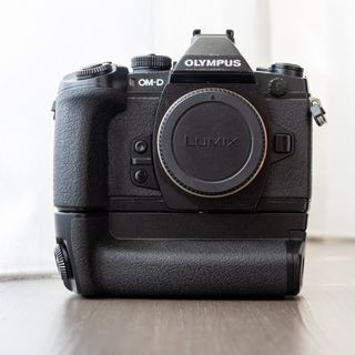 Panasonic Lumix / Olympus Micro 4/3 sytems Collection item 2