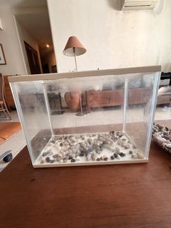 (Category: ) located in . Submitted by luveydavey (Listing ID 1455622114, Image 1). Description: .