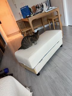 （分類：）位於 。 由 chambertininhk 提交（商品編號 1455516973，圖片 1）。簡介： 。