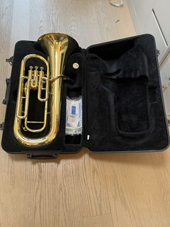 （分類：）位於 。 由 kahohuialan 提交（商品編號 1455598372，圖片 1）。簡介： 。