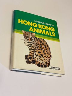 （分類：）位於 。 由 yunsingg 提交（商品編號 1455727240，圖片 1）。簡介： 。