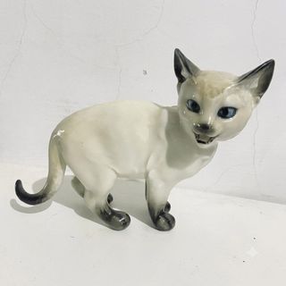 由 kitten_beginner (刊登 ID 1455699004，圖片 1) 提交，位於 的 (類別：)，說明：。