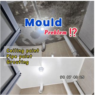 Mould Treatment  Collection item 1