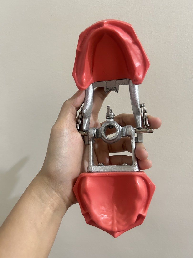 Dental Articulator Model for Teeth Study (Category: Medical Supplies & Tools) located in Las Pinas. Submitted by dnesq (Listing ID 1455762178, Image 2). Description: - Dental articulator model for studying teeth and jaw alignment. - Features red teeth molds. - Includes a durable metal articulator. - Ideal for dental students and professionals. - Demonstrates how teeth fit together. - Useful for practice and educational purposes..