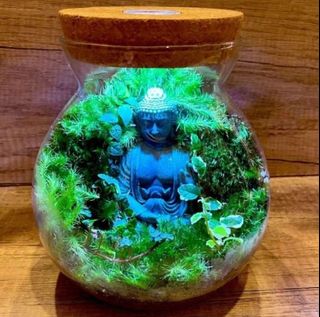 (Category: ) located in . Submitted by lushglassdoor (Listing ID 1455689282, Image 1). Description: .
