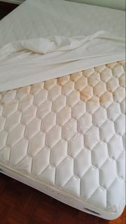 (Category: ) located in . Submitted by sporegal (Listing ID 1455728573, Image 1). Description: .