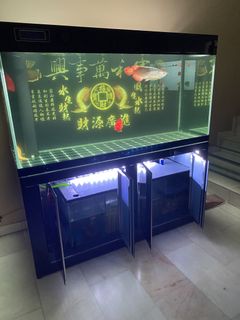 (Category: ) located in . Submitted by bentan004343904 (Listing ID 1455751348, Image 1). Description: .