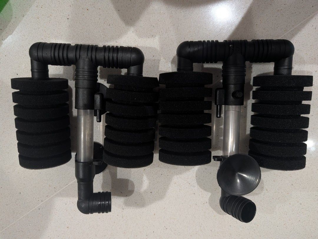 Sponge Filter (Category: Health & Grooming) located in Singapore. Submitted by desmondk88 (Listing ID 1455853690, Image 1). Description: selling $5 per piece.