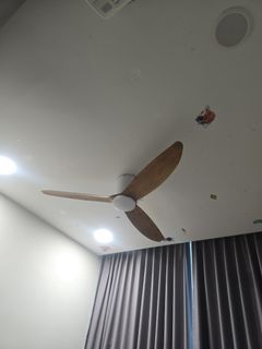(Category: ) located in . Submitted by 13craze (Listing ID 1455687175, Image 1). Description: .
