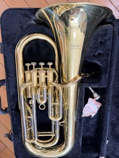 （分類：）位於 。 由 gentlefox_dc0aaf 提交（商品編號 1455738285，圖片 1）。簡介： 。