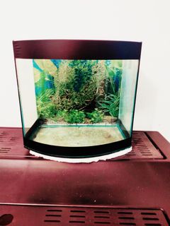 (Category: ) located in . Submitted by balsusie7530682 (Listing ID 1455929555, Image 1). Description: .