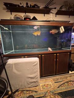 (Category: ) located in . Submitted by mummybosh (Listing ID 1455912325, Image 1). Description: .