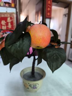 （分類：）位於 。 由 maggiewong1022 提交（商品編號 1455903975，圖片 1）。簡介： 。