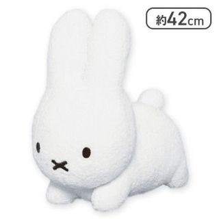 （分類：）位於 。 由 hellodik 提交（商品編號 1455906489，圖片 1）。簡介： 。