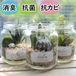 （分類：）位於 。 由 pure.reitatyron 提交（商品編號 1455874409，圖片 1）。簡介： 。