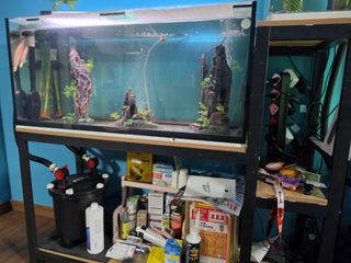 (Category: ) located in . Submitted by haix84 (Listing ID 1455862675, Image 1). Description: .