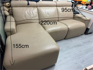 （分類：）位於 。 由 eeveebaby. 提交（商品編號 1455894356，圖片 1）。簡介： 。
