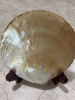(Category: ) located in . Submitted by vipassana (Listing ID 1455931883, Image 1). Description: .