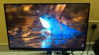 (Category: ) located in . Submitted by kumaran.85 (Listing ID 1455978041, Image 1). Description: .