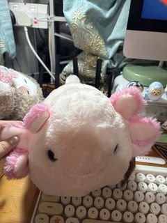 （分類：）位於 。 由 miu1997hung 提交（商品編號 1455965016，圖片 1）。簡介： 。