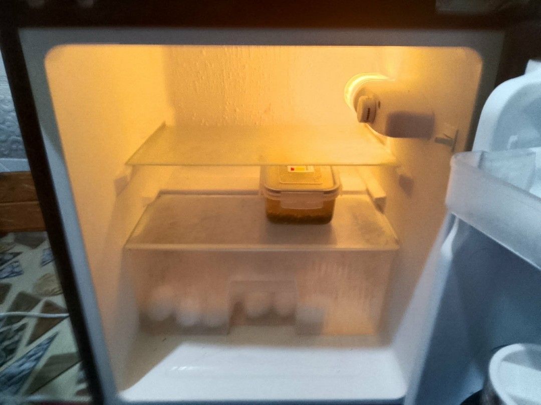Preloved Fujidenzo 2 doors Refrigerator (Category: Refrigerators and Freezers) located in Cebu City. Submitted by gracemarvin06 (Listing ID 1455867361, Image 2). Description: RUSH SALE! 🏷️❄️ FUJIDENZO REFRIGERATOR ‼️ ₱7,000 ONLY! ‼️ Selling my Fujidenzo refrigerator — bought last January for ₱12,000. ✅ No issue — working perfectly ✅ Good condition ✅ Clean and well-maintained ✅ Freezer is working ❄️ 💰 Bought for ₱12,000 🔥 Selling for only ₱7,00