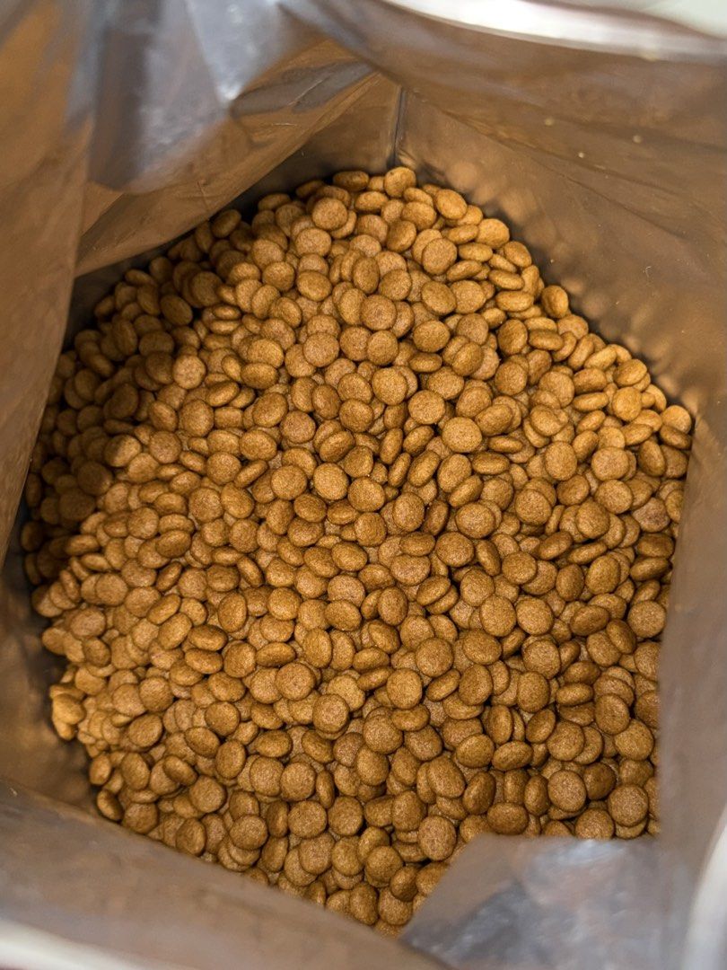 Royal Canin Urinary S/O for cats (Category: Pet Food) located in Tarlac. Submitted by svanfinds (Listing ID 1455934567, Image 2). Description: selling my newly bought cat food for uti, we switched to different cat food as per the vet and it's still 3kg .