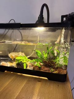 (Category: ) located in . Submitted by wolfstreet (Listing ID 1455857013, Image 1). Description: .