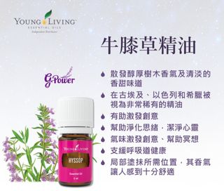 （分類：）位於 。 由 fafaloo 提交（商品編號 1456144152，圖片 1）。簡介： 。