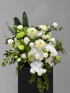 (Category: ) located in . Submitted by edra.florists (Listing ID 1456211268, Image 1). Description: .