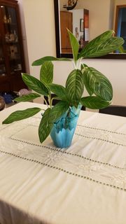 （分類：）位於 。 由 prettyqueens 提交（商品編號 1456115280，圖片 1）。簡介： 。