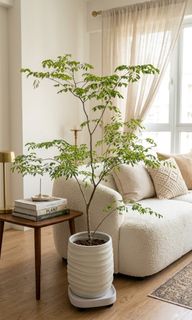 (Category: ) located in . Submitted by hongmeiliu06 (Listing ID 1456089066, Image 1). Description: .