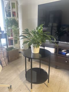 （分類：）位於 。 由 brightsimplelife 提交（商品編號 1456134220，圖片 1）。簡介： 。