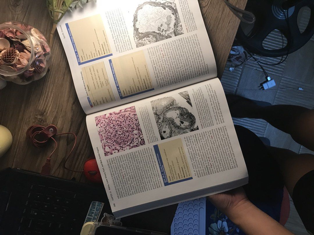 Introduction to Human Disease Pathophysiology 6th Edition (Category: Textbooks) located in Paranaque City. Submitted by mozza_1 (Listing ID 1456219779, Image 2). Description: BRAND NEW, never read. Book is super helpful and insightful for medical students and entrance exams. Photos are colored as well!! - Introduction to Human Disease Pathophysiology, Sixth Edition - Authors: Agnes G. Loeffler & Michael N. Hart - Includes online access code - Ide