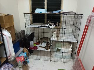 (Category: ) located in . Submitted by yusuffaisol (Listing ID 1456217622, Image 1). Description: .
