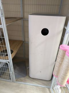 （分類：）位於 。 由 nanamison 提交（商品編號 1456144776，圖片 1）。簡介： 。