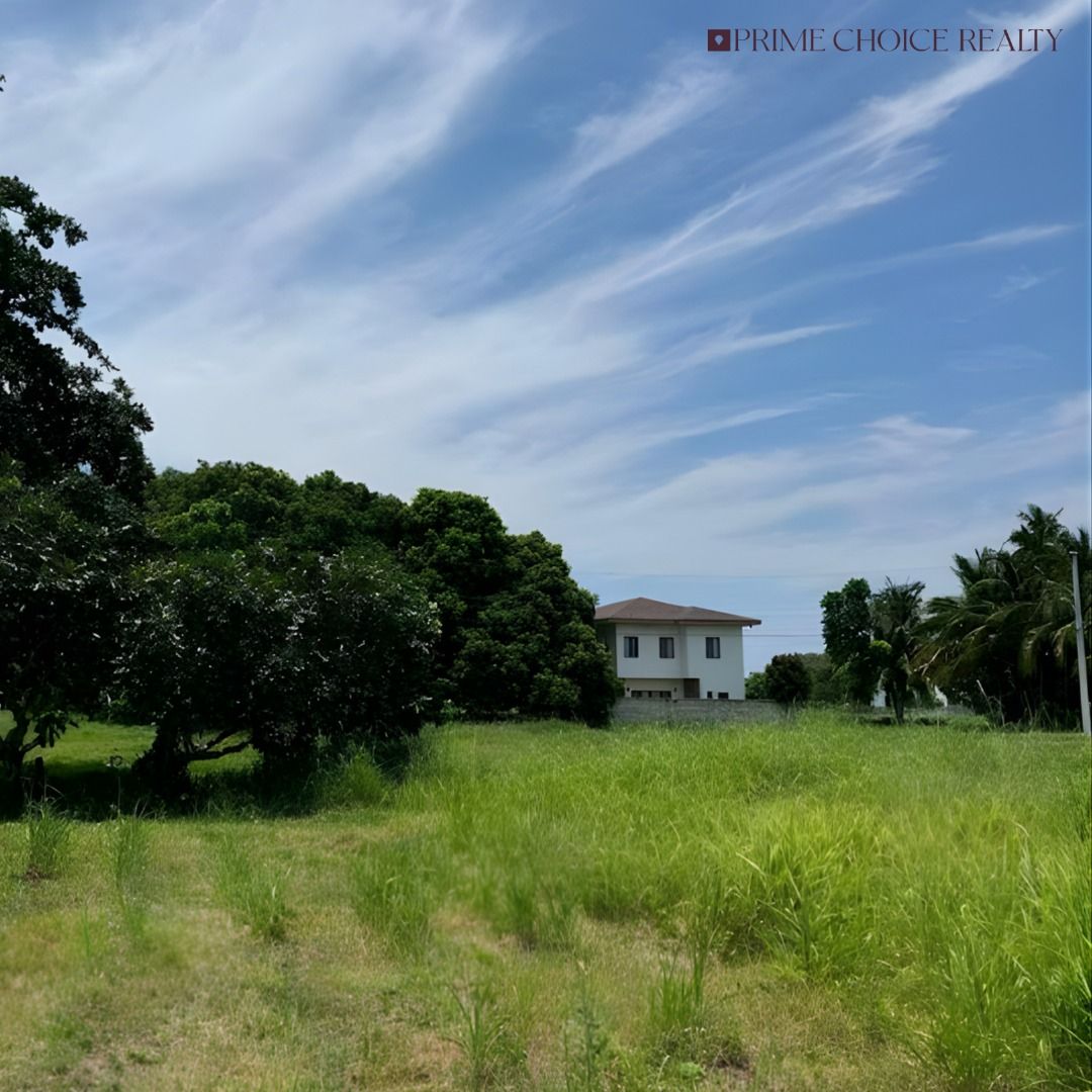 PLAYA LAIYA RESIDENTIAL LOT (Category: Lot) located in Quezon City. Submitted by primechoicerealtyinc (Listing ID 1456079843, Image 2). Description: FOR SALE | PLAYA LAIYA RESIDENTIAL LOT 📍 Phase 4, Playa Laiya Less than a 2-minute walk to the beach Property Details: • Lot Area: 316 sqm • Soil Testing: Done • With Architectural Design • Ideal for a vacation home or investment property Asking Price: ₱11,376,000 or ₱36,000/sqm ✅ Negotiable for cas