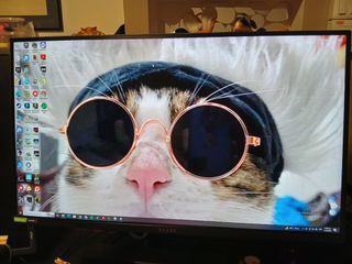 (Category: ) located in . Submitted by okokokokokk (Listing ID 1456213686, Image 1). Description: .