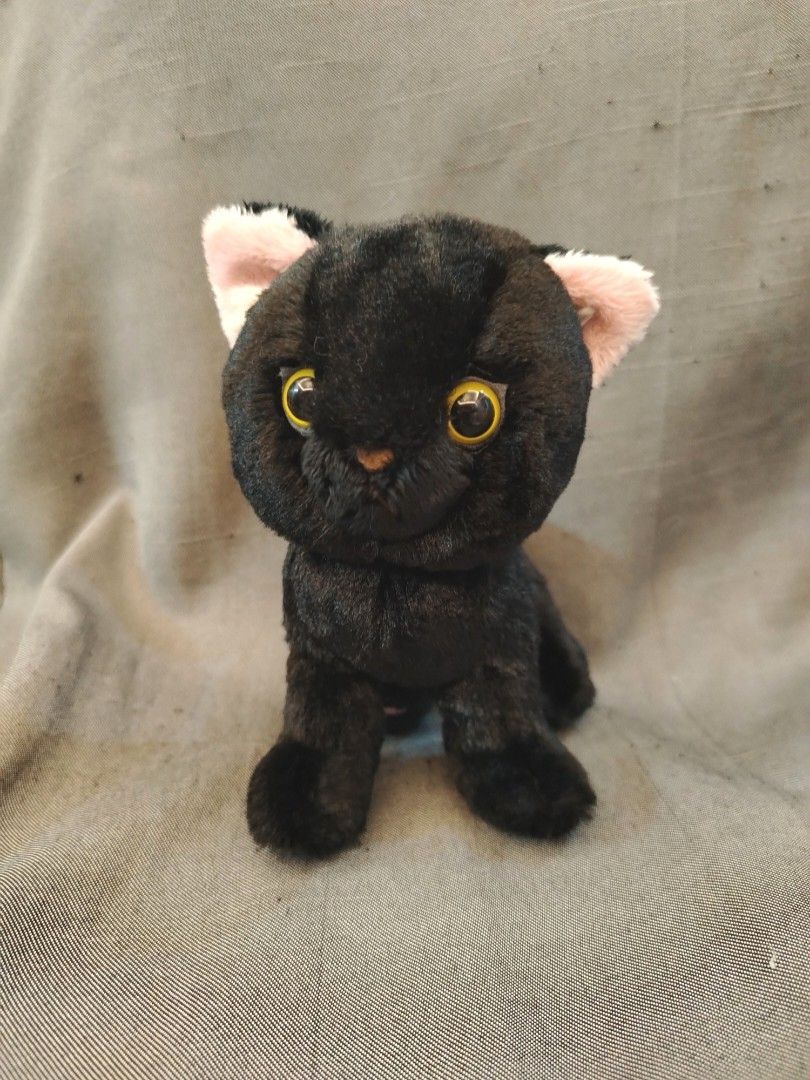 Sun Lemon Black Kitten Cat Plushie (Category: Plushies & Soft Toys) located in San Fernando. Submitted by jpmarketplace2023 (Listing ID 1456139301, Image 1). Description: 💚 All items are authentic from Japan. 💛 MOP: GCash (❌️ GCash Protect) 🩵 MOD: LBC only (❌️ S. Checkout, COD, COP) 💙 Meet-up: Vista Mall, San Fernando, Pampanga 💜 All items are on-hand. 🧡 First to pay gets the item first. ❤️ Breakable items are packed with care and caution. 