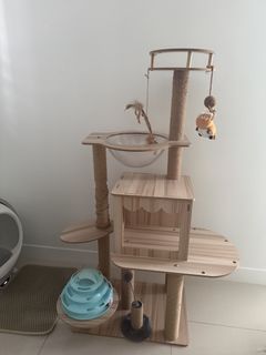 (Category: ) located in . Submitted by mjclosette (Listing ID 1456109798, Image 1). Description: .