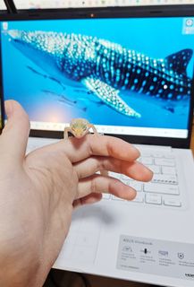 由 00selling (刊登 ID 1455450555，圖片 1) 提交，位於 的 (類別：)，說明：。