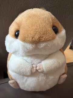 （分類：）位於 。 由 yuuuu.0 提交（商品編號 1456263755，圖片 1）。簡介： 。