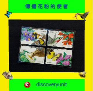 （分類：）位於 。 由 discoveryunit 提交（商品編號 1456307999，圖片 1）。簡介： 。
