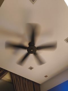 (Category: ) located in . Submitted by johnny8302 (Listing ID 1456355675, Image 1). Description: .