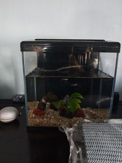 (Category: ) located in . Submitted by waned90 (Listing ID 1456260441, Image 1). Description: .
