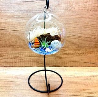 (Category: ) located in . Submitted by lushglassdoor (Listing ID 1456316763, Image 1). Description: .