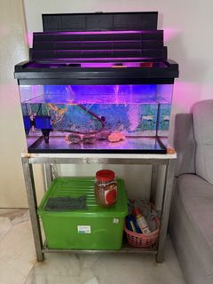 (Category: ) located in . Submitted by briantek (Listing ID 1456343341, Image 1). Description: .