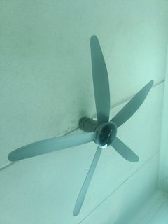 (Category: ) located in . Submitted by valueshop88 (Listing ID 1456301095, Image 1). Description: .