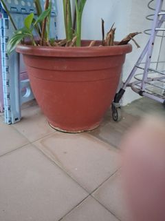 (Category: ) located in . Submitted by eversale (Listing ID 1456336718, Image 1). Description: .