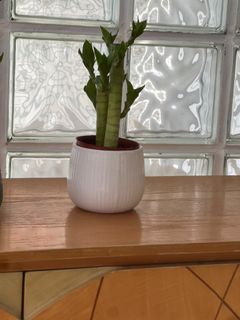 (Category: ) located in . Submitted by janet.lee.94064176 (Listing ID 1456291608, Image 1). Description: .